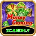 3cardfly Turbo v5.3.1