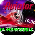 antigua hawksbill Games (Casino & Earning) Elite v1.6.2