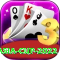 asia cup 2022 Pro Edition v1.4.0