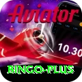 bingo Plus Edition v4.1.5