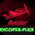 bingopkr Premium Edition v2.0.9
