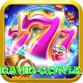 david gower Elite Pro v1.4.9
