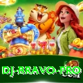 dj bravo - Slots Max