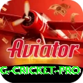 eng cricket Plus - Win Real PKR