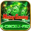 fastest ball in cricket Deluxe Casino App
