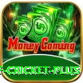 god of cricket Mobile Deluxe