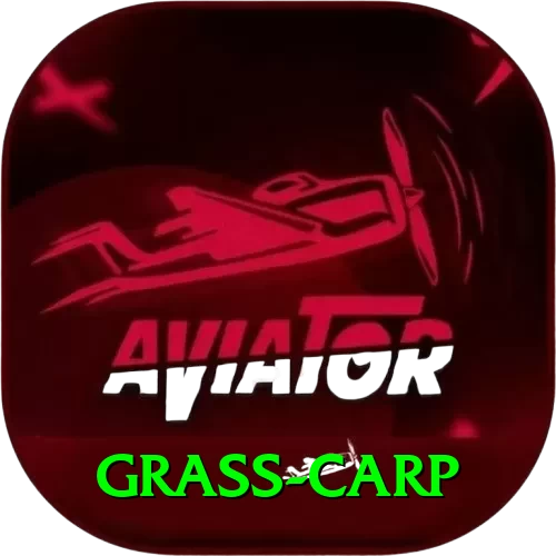 grass carp Plus v4.9.7 - 2