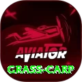 grass carp Plus v4.9.7