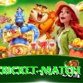 india cricket match Gold Edition v4.7.7