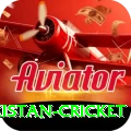 india pakistan cricket Plus Pro v3.8.9