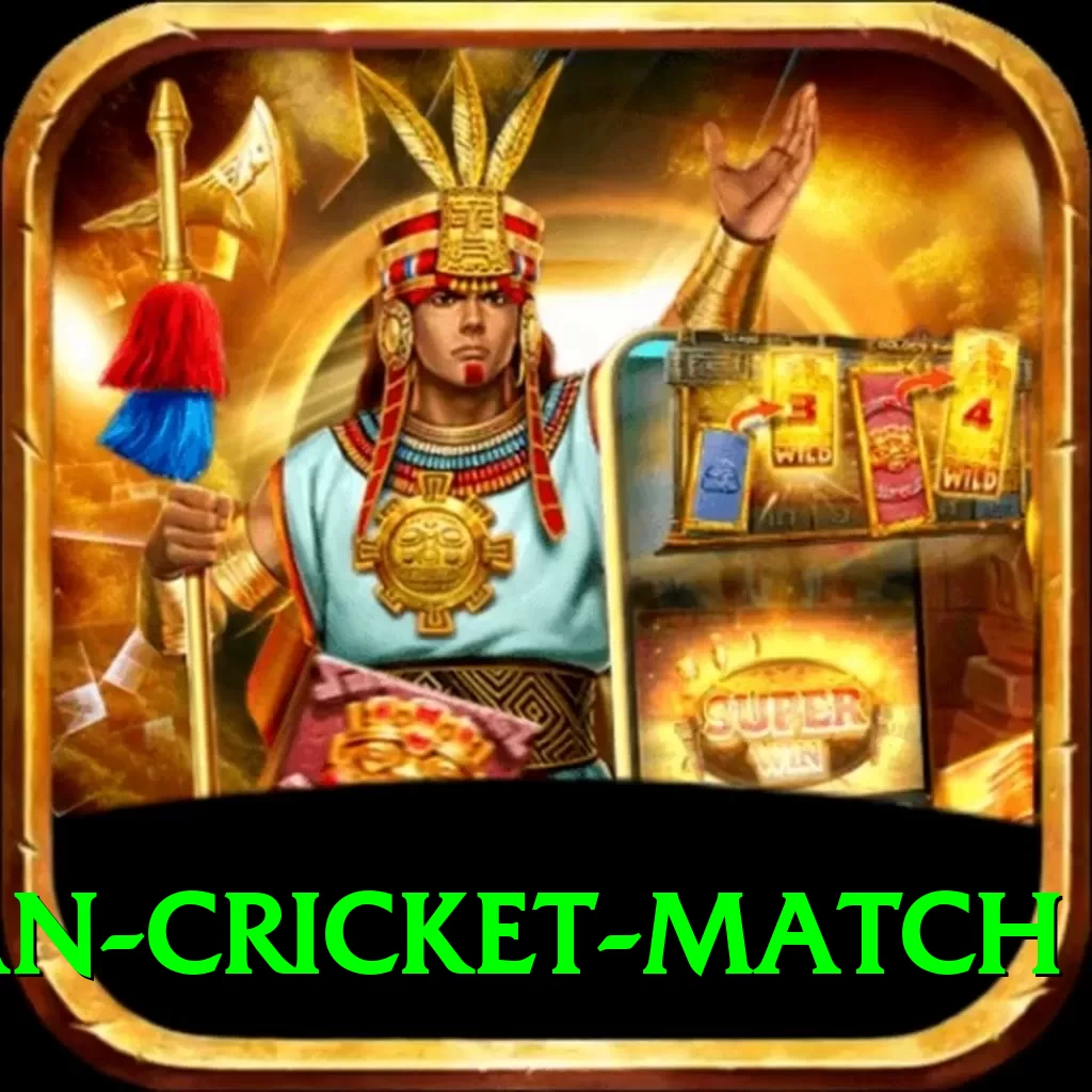 india pakistan cricket match Deluxe v5.1.3 - 2