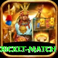 india pakistan cricket match Deluxe v5.1.3