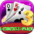 india pakistan cricket Slots Turbo v5.5.1