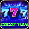 ireland cricket team Turbo Pro v3.6.9