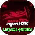 lungi ngidi Plus Edition v2.4.0
