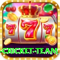 netherlands cricket team VIP Edition v2.8.3