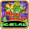 Pakistan Betting Site - Mega Earning App