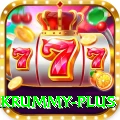 pakrummy Premium Plus v1.3.1