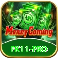 pk11 Official v1.8.6