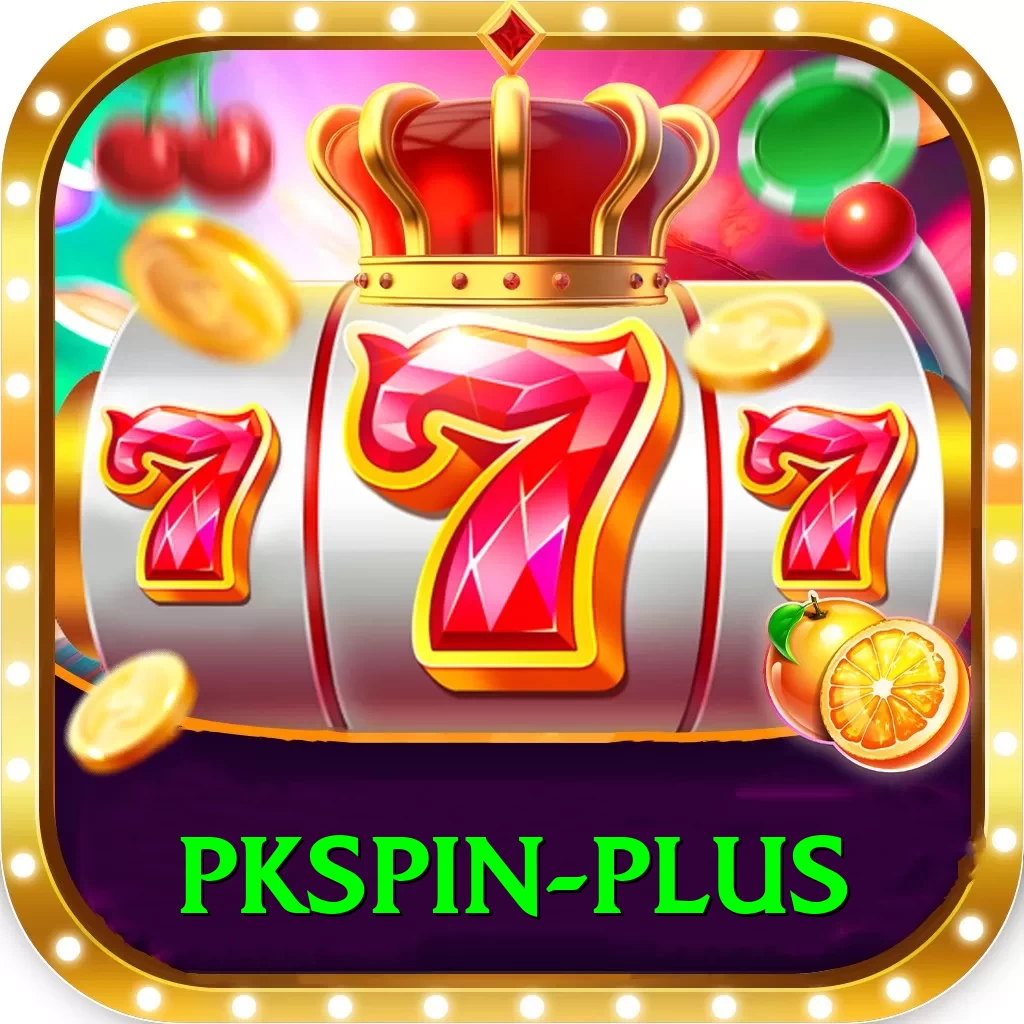 pkspin Plus Edition v2.9.1 - 2