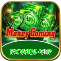 pkwin Premium v2.4.7