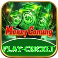play cricket Master Pro v4.7.8