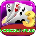 r cricket Max 2024