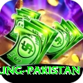 responsible gambling pakistan Plus Edition v2.8.6