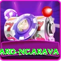 richard ngarava VIP Pro v3.4.3