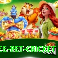 risk free bet cricket Gold v1.4.7