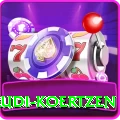 rudi koertzen Max Pro v5.3.2