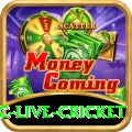 smartcric live cricket Master Pro v1.1.2