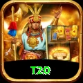 t20 Pro v4.6.6