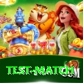test match Deluxe Edition v5.3.6