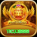tiger888 Master vv2.1.7