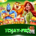 tojay Premium v3.0.7
